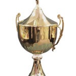 Puchar Roku 2000